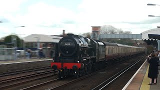 46100 quotRoyal Scotquot storms through Paddock Wood  The Golden Arrow  300324 [upl. by Nenerb]