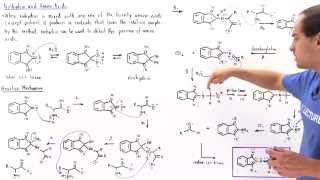 Ninhydrin and Amino Acids [upl. by Riada]