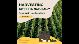 Harvest nitrogen naturally with TerraMaxs regenerative soil solutions [upl. by Gotcher489]