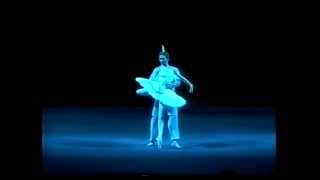 Svetlana Zakharova Ygor Zelensky  La Bayadere [upl. by Esidarap539]