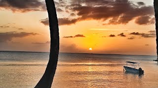 🔴Live From Bayahibe Cadaques Beach 🌴❤ [upl. by Carmencita]