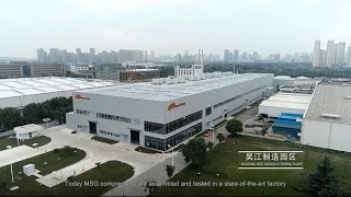 Ingersoll Rand manufacturing excellence for MSG® Centrifugal Compressors – a tour in Wujiang Plant [upl. by Akcir]