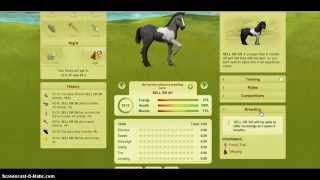 howrse how to sell horses quickly and easily [upl. by Neit827]