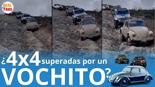 Vochito le pone el ejemplo a los 4x4 y todo terreno en caminos disparejos noticias [upl. by Nosreip421]