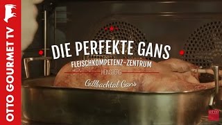 Gänsebraten perfekt zubereiten [upl. by Namreh236]