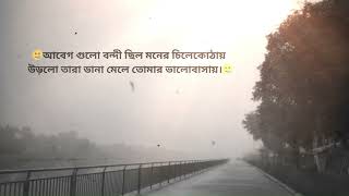 আবেগ গুলো বন্দি ছিল মনের চিলেকোঠাই 💔 bangla status\ bangla sad caption\ captionp attitude sad [upl. by Naitsihc237]