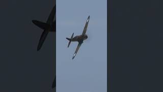 Curtiss P40C Tomahawk Flyby aviation Warbirds avgeek [upl. by Accisej]