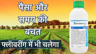 ॲमिस्टार ॲाप्टी  Amistar opti  Azoxystrobin  chlorothalonil [upl. by Myrtie953]