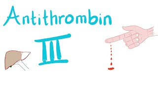 Antithrombin III  How Heparin Works [upl. by Ahsieni]