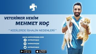 KEDİLER NEDEN İSHAL OLUR NASIL TEDAVİ EDİLİR [upl. by Argent]