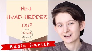 Basic Danish say hi and introduce yourself 🤗 [upl. by Allimaj]