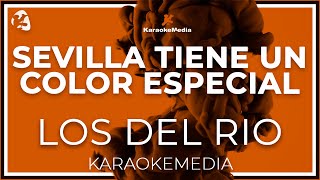 Los Del Rio  Sevilla Tiene Un Color Especial INSTRUMENTAL KARAOKE [upl. by Aisa]