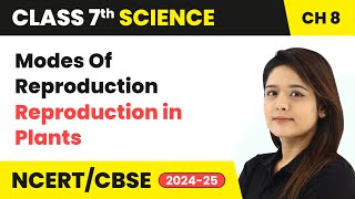 Modes of Reproduction  Reproduction in Plants  Class 7 Science Chapter 8  CBSE 202425 [upl. by Lonee]