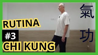 CLASES DE CHI KUNG PARA PRINCIPIANTES 3 Equilibrio y coordinación [upl. by Adikam]