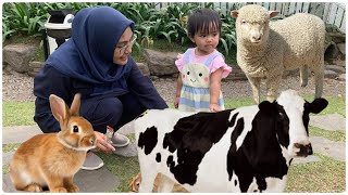 Main Sambil Belajar Bersama Hewan di Cimory Dairyland Prigen Jawa Timur [upl. by Wandie240]