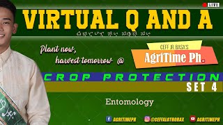 VIRTUAL Q AND A  CROP PROTECTION  SET 4  Licensure Examination for Agriculturist Practice Test [upl. by Yreffoeg57]