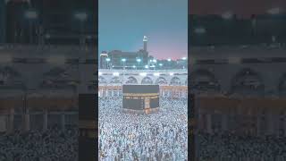 HAM ANE NABI BATE NABI SARKAR KO BI LAL KARENGE SHORT BIDEO VIRAL 🕋🕋♥️♥️ [upl. by Greabe729]