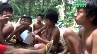 Mentawai tribe culture [upl. by Ayotaj]