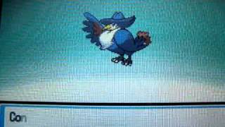 Pokemon SoulSilver Murkrow evolve [upl. by Asserrac157]