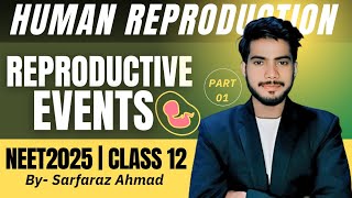 HUMAN REPRODUCTION  PART 1  reproductive events  NEET2025  CLASS 12  By Sarafaraz Ahmad [upl. by Kcerb]