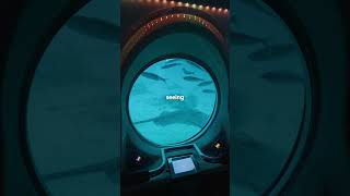 Real submarine  No simulation the real experience in tenerife [upl. by Kimberlyn]