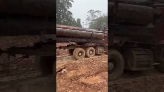 Pentingnya cek chain blok dawai ikat kayu selepas di taring bulldozer‼️ [upl. by Gnohp]