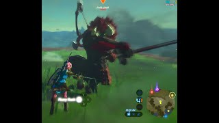 Fighting and Defeating Lynel With Everything I Got In Breath Of The Wild  Zelda BOTW [upl. by Chantalle]