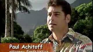 Islands at Risk Part 1  Genetic Engineering in Hawaii [upl. by Eurd]