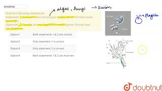 Read the following statements Statement 1 Zoospores are microscopic motile spores formed insid [upl. by Dremann814]