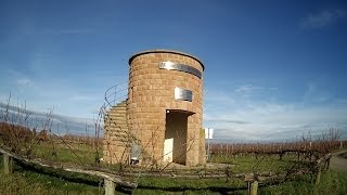 Rundgang in den Weinbergen von Hochstadt Pfalz HD [upl. by Avelin354]