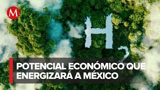 Hidrógeno verde el potencial económico que energizará a México [upl. by Curtis]