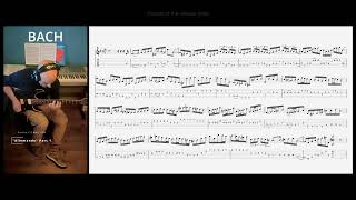 Bach  BWV 1004 15  tablature [upl. by Ahsikahs102]