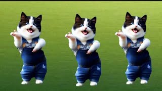 Funny Cat Viral Dancing Videos 😻💃viralvideos Catlovers funnycat furrycornerz [upl. by Hooke]