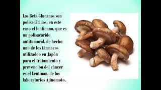 beneficios y propiedades del shiitake  hongo [upl. by Pfosi727]