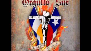 Orgullo Sur  Salud por los Skinheads Acoustic Version LP [upl. by Ardnad984]