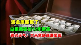 黄金价格分析：10月21日黄金白银涨疯了！白银创12年新高！金砖国家打造新的全球支付系统 恶劣天气大米紧缺信号出现！ [upl. by Anihsit734]