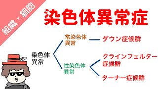 【国試対策】染色体異常（ダウン症候群、クラインフェルター症候群、ターナー症候群） [upl. by Hirza]