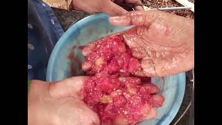 TOMATO SEED ACID EXTRACTION  DrSKavitha TNAU  Coimbatore [upl. by Kamat]