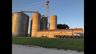 Global demand for grains  12724 Nebraska Soybean Board Weekly Market Roundup [upl. by Tnelc]