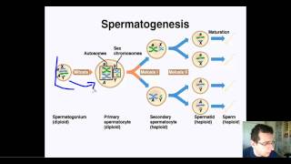 Flagellar structure  Grampositive and Gramnegative cells [upl. by Timotheus]