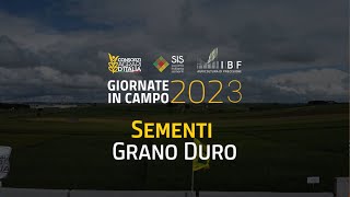 2023  Sementi  Grano Duro [upl. by Elleral539]