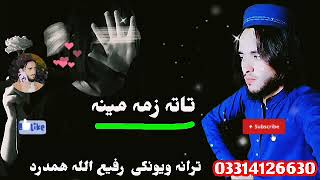 zma meena Pashto New Nazam Naat Nazmona Tarany songs Nasheed [upl. by Coe708]