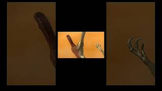 suchomimus vs therizinosaurus edit 🔥 pong1977 [upl. by Aihseket]