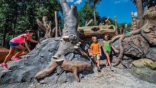 Wildwoods and Fernbank Forest at Fernbank Museum of Natural History [upl. by Leunam]