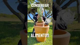 Conserva alimentos 💡 Sin electricidad Pt4 [upl. by Napier]