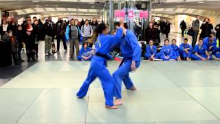 Vovinam Viet Vo Dao  Démonstration a la gare Liège Guillemin journée de la femme 2013 [upl. by Demahum]