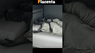 3D Animation of Placenta shorts [upl. by Lory643]