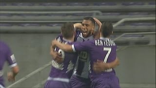 Goal Etienne CAPOUE 19  Toulouse FC  OGC Nice 34  201213 [upl. by Ynnos]