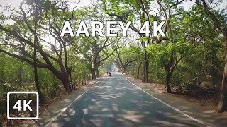 4K Drive In Aarey Colony  Royal Palms Goregaon Mumbai IN [upl. by Haleelahk]