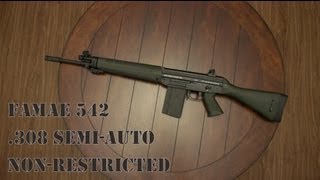 FAMAE SG542 308 SemiAuto Chilean Rifle Hands On aka quotSig SG 540quot [upl. by Eittak175]